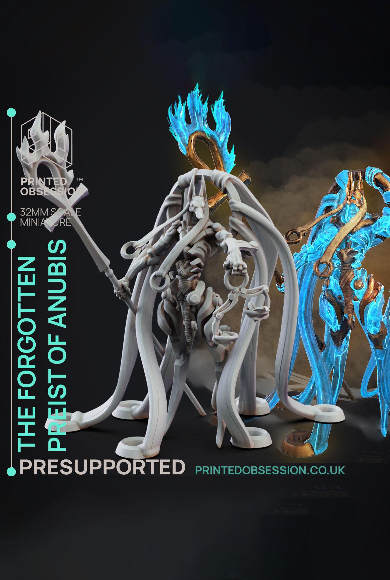 The Forgotten Preist of Anubis - Deity Fight Club - PRESUPPORTED - Illustrated and Stats - 32mm scal 3d model