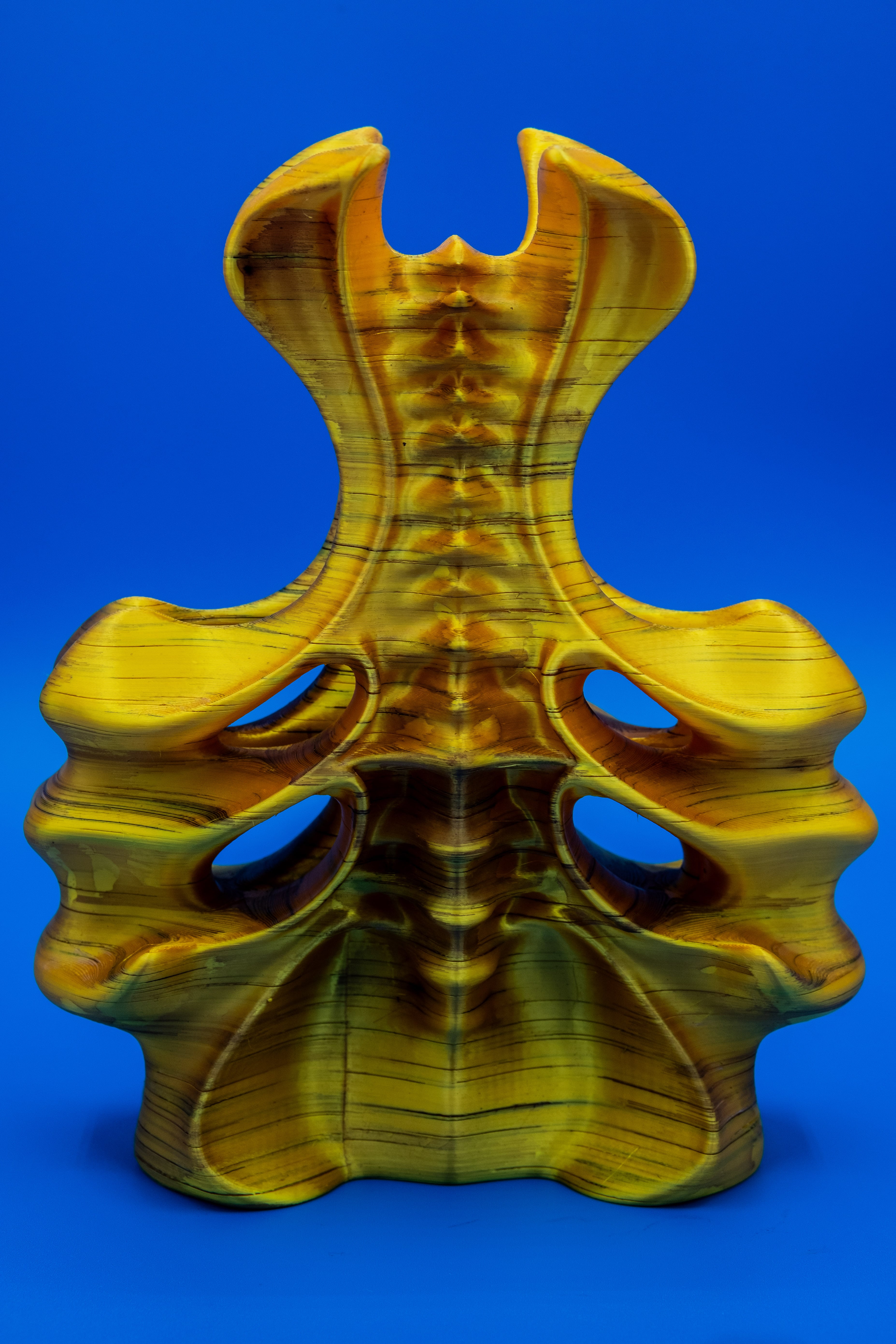 Vessel (Pre Supported) 3d model