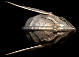 WYLDER DAWN HELMET and ORNATED MASK - Elden Ring Cosplay Fan Art Stl Model 3d model