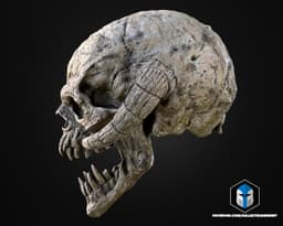 Life Sized Wampa Head Wall Mount - 3D Print Files 3d model