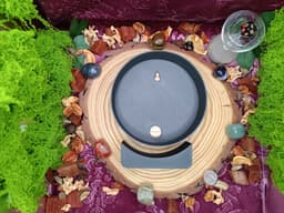 Universal Circular Lightbox β 15 cm 3d model