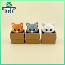 Box Cat Fidget Clicker Keychain 3d model