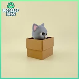 Box Cat Fidget Clicker Keychain 3d model