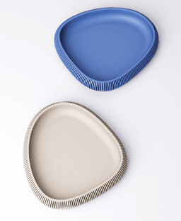 Asymmetric Tray 3d model