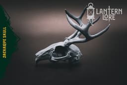 Jackalope Skull (Pre Supported) 3d model
