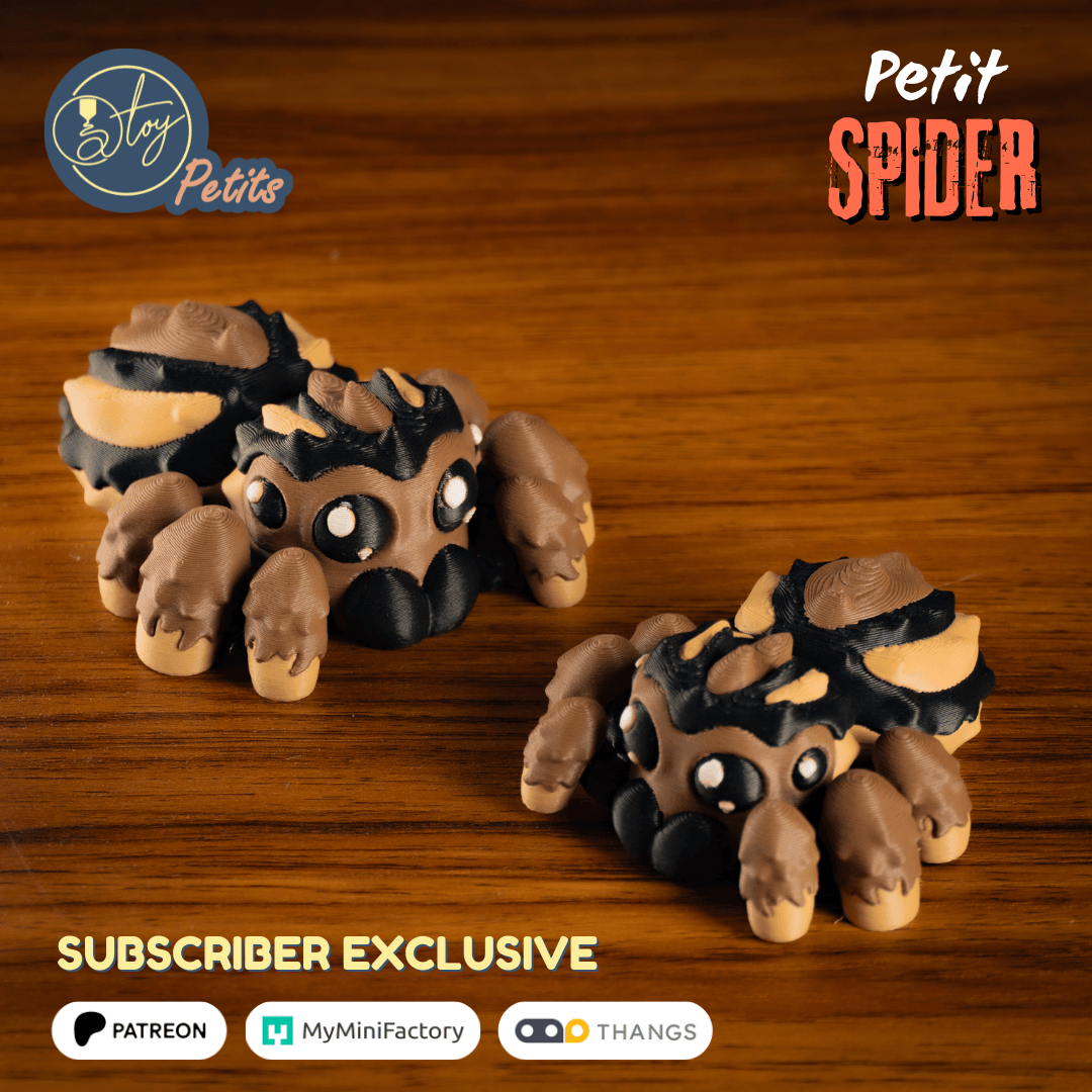 Petit Spider 3d model