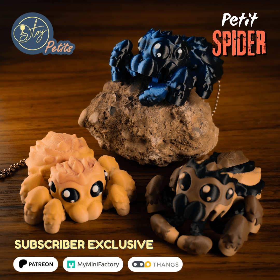 Petit Spider 3d model