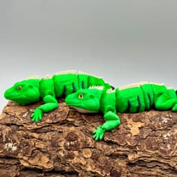 Articulated Iguana | Pre-Painted + Optional 6mm Glass Eye Version 3d model