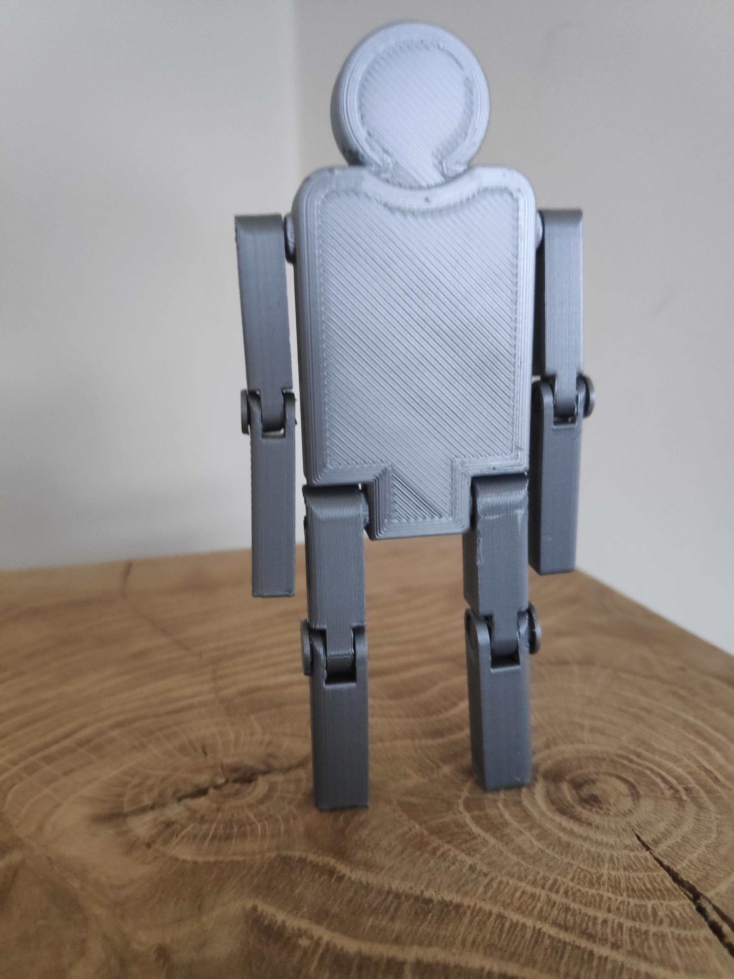 Figure (with joints) 3d model