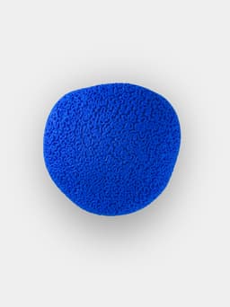 Brain Coral | Wall Mounted 3d model