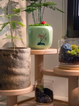 Plant Display Stand 3d model