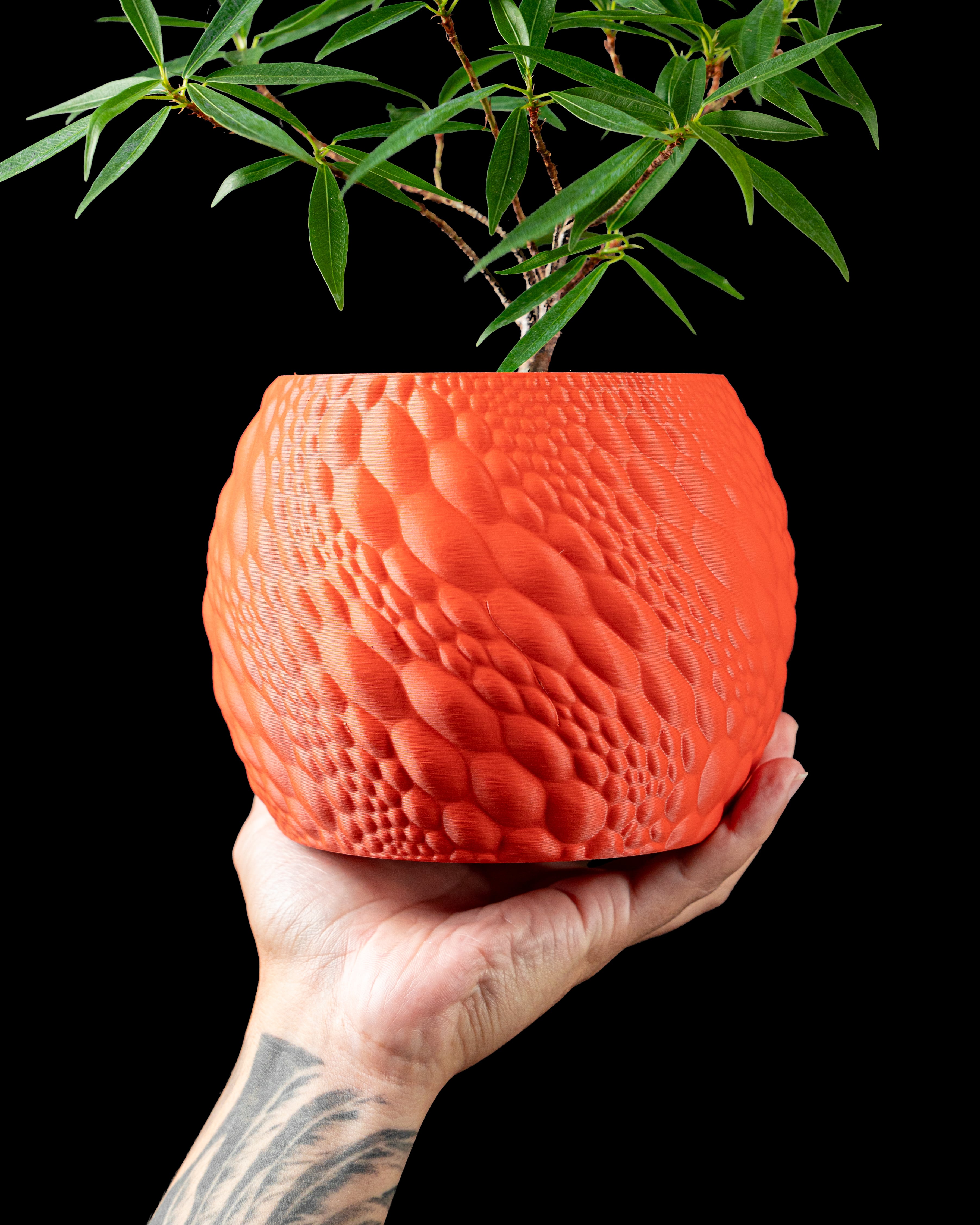 Gato Planter Pot by MODERN MACHINE 3d model