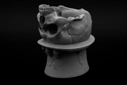 Papa Legba Pot/Bowl (Pre Supported) 3d model