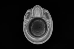 Papa Legba Pot/Bowl (Pre Supported) 3d model