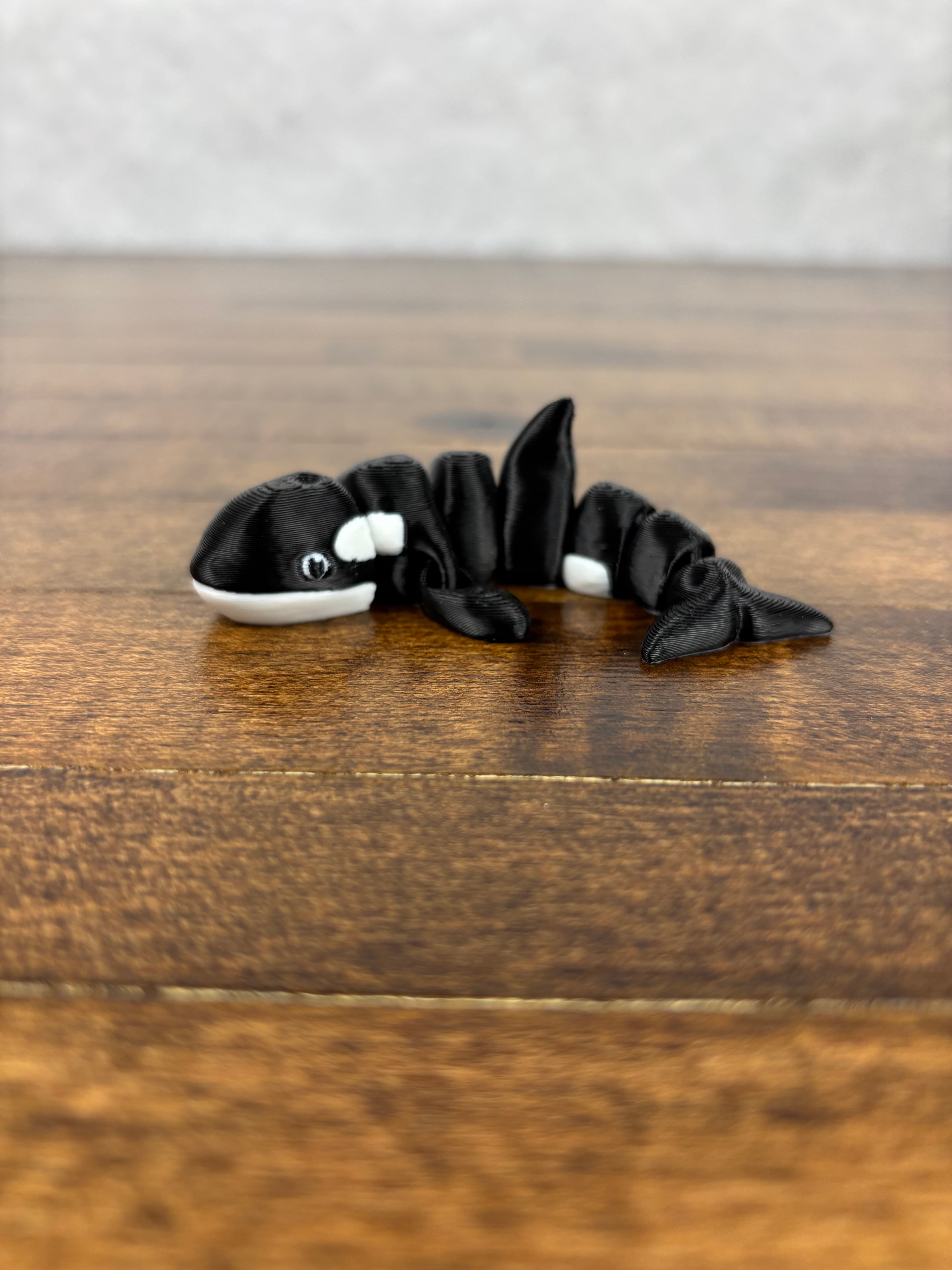 Killer Whale Fidget 3d model