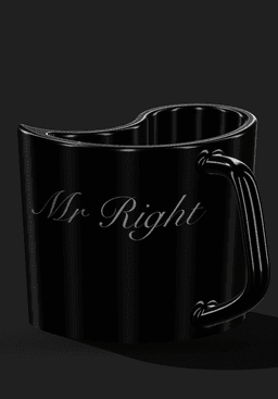 mr n Mrs right mugs