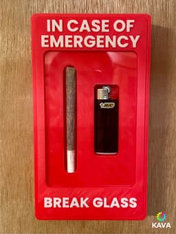 In Case of Emergency: Joint & Lighter Edition 3d model
