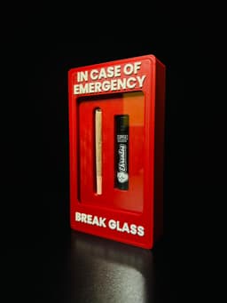 In Case of Emergency: Joint & Lighter Edition 3d model