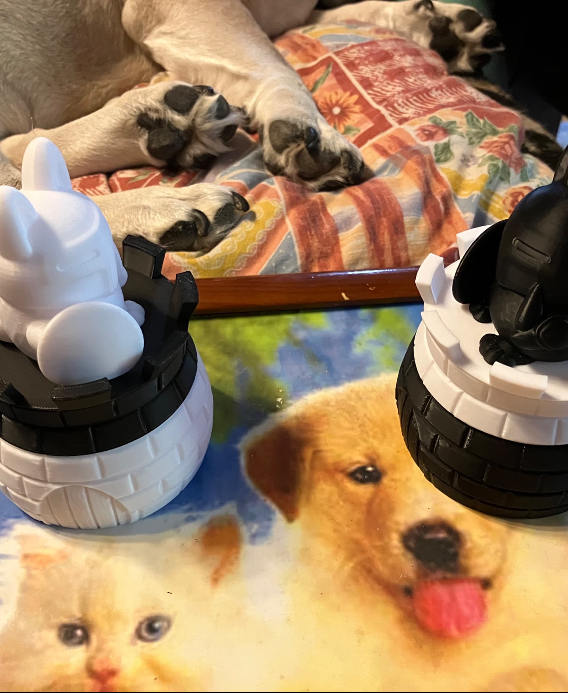 Knight vs Knight