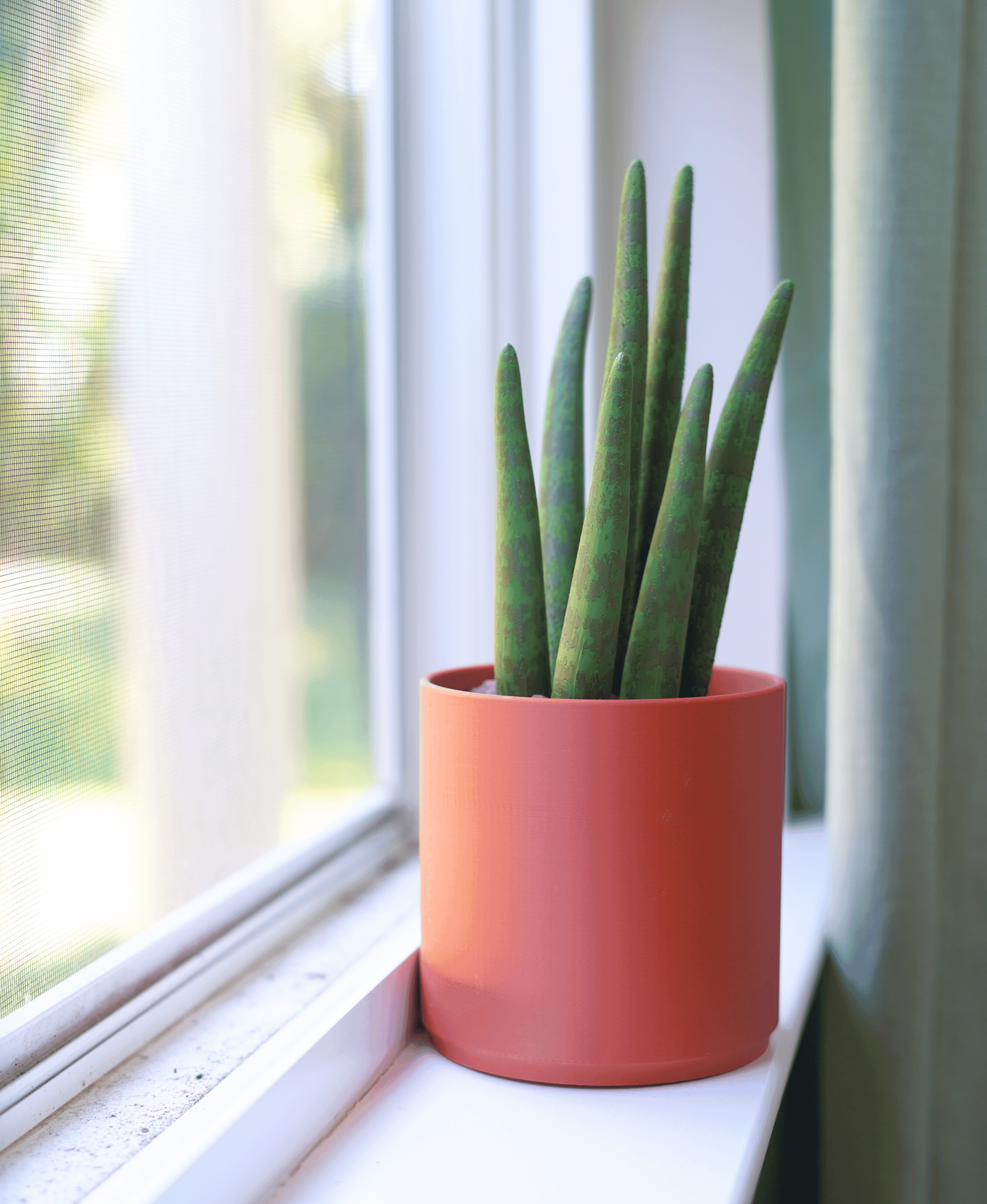 Drain Snake Snake Plant 3d model