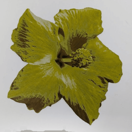 Yellow Hibiscus_Front_210x228 v2.stl 3d model