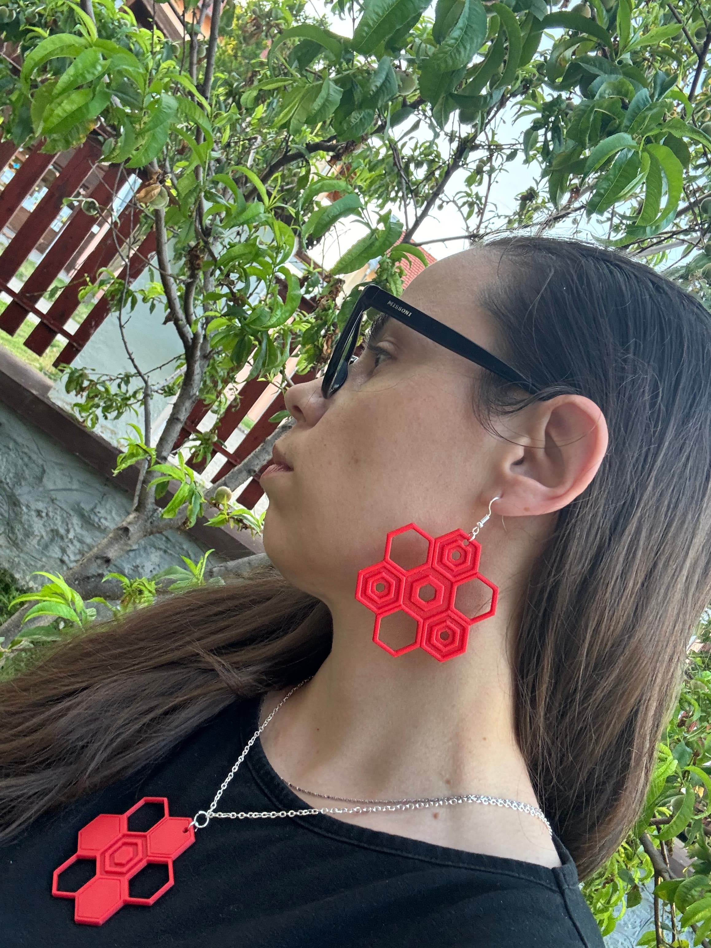 Earrings & Necklace Set - HexaBloom Jewelry set 3d model