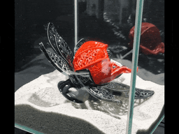 Betta Fish Flower Cave | Unique Fish Tank Design Playground | Functional Aquarium Voronoi Decoration 3d model