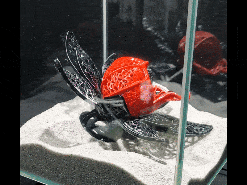 Betta Fish Flower Cave | Unique Fish Tank Design Playground | Functional Aquarium Voronoi Decoration 3d model