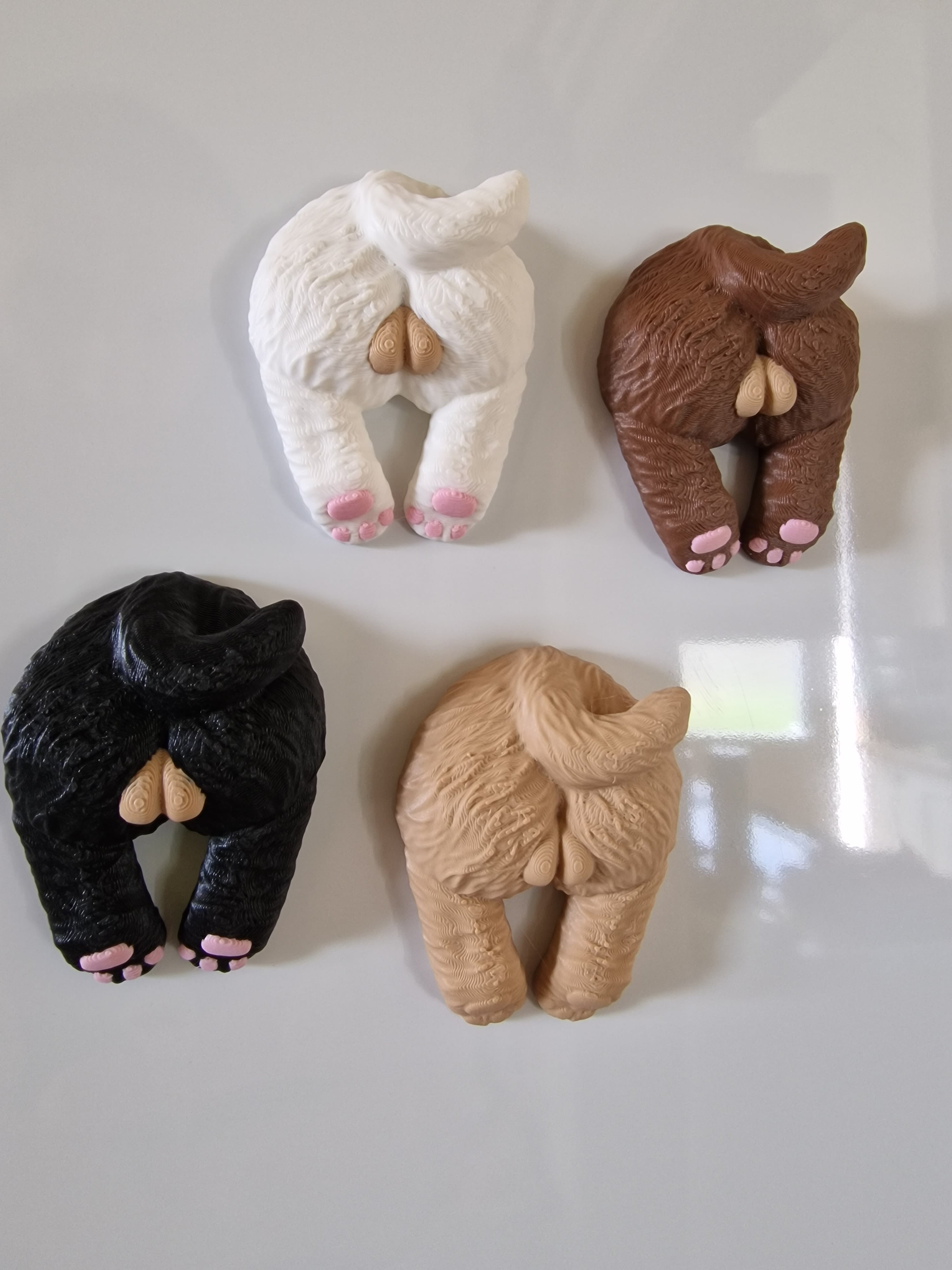 The Mutts Nuts Fridge Magnets 3d model