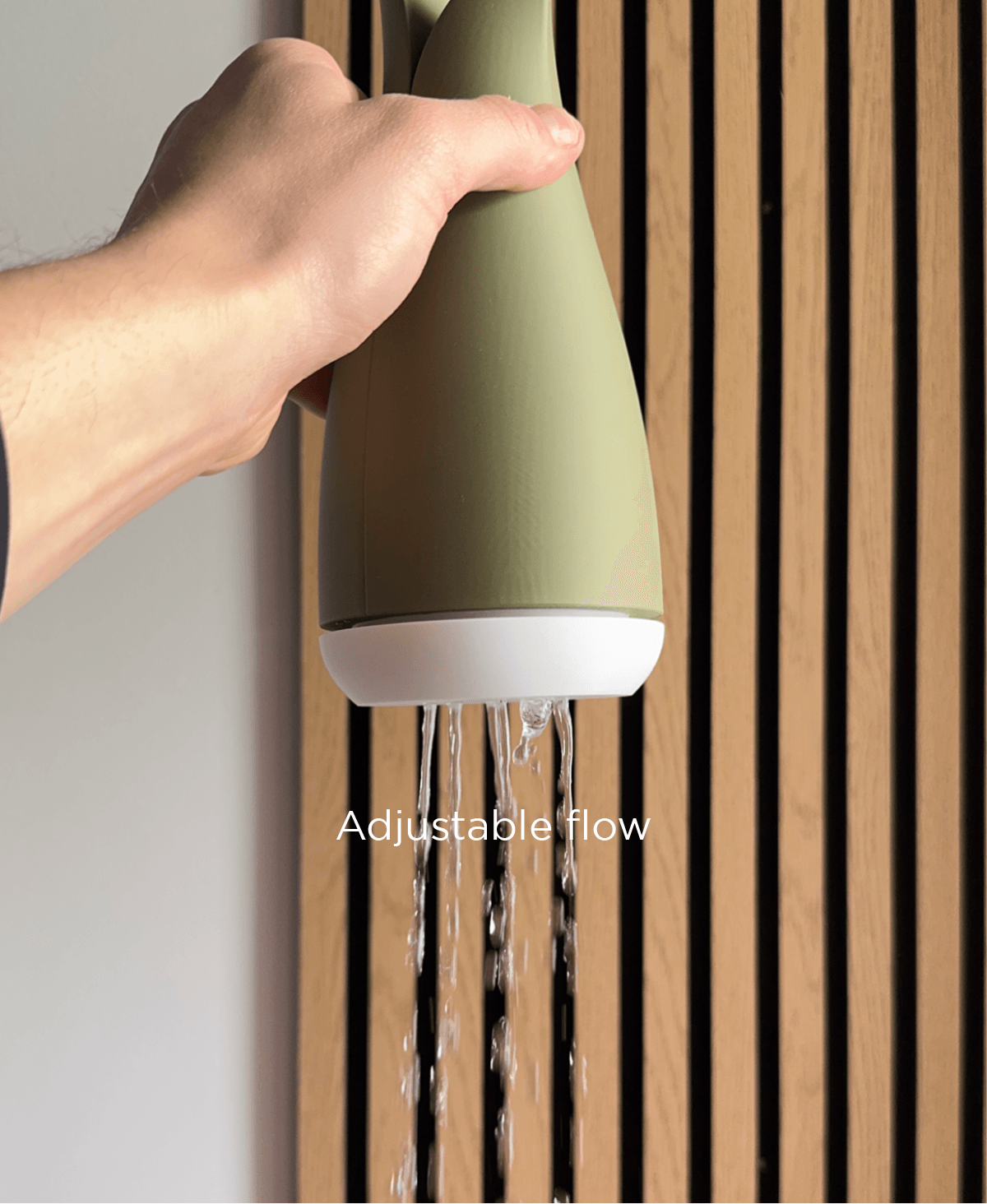 Aloe, watering can. 3d model
