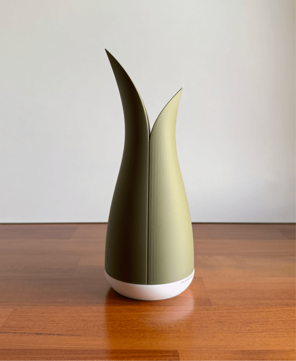 Aloe, watering can. 3d model