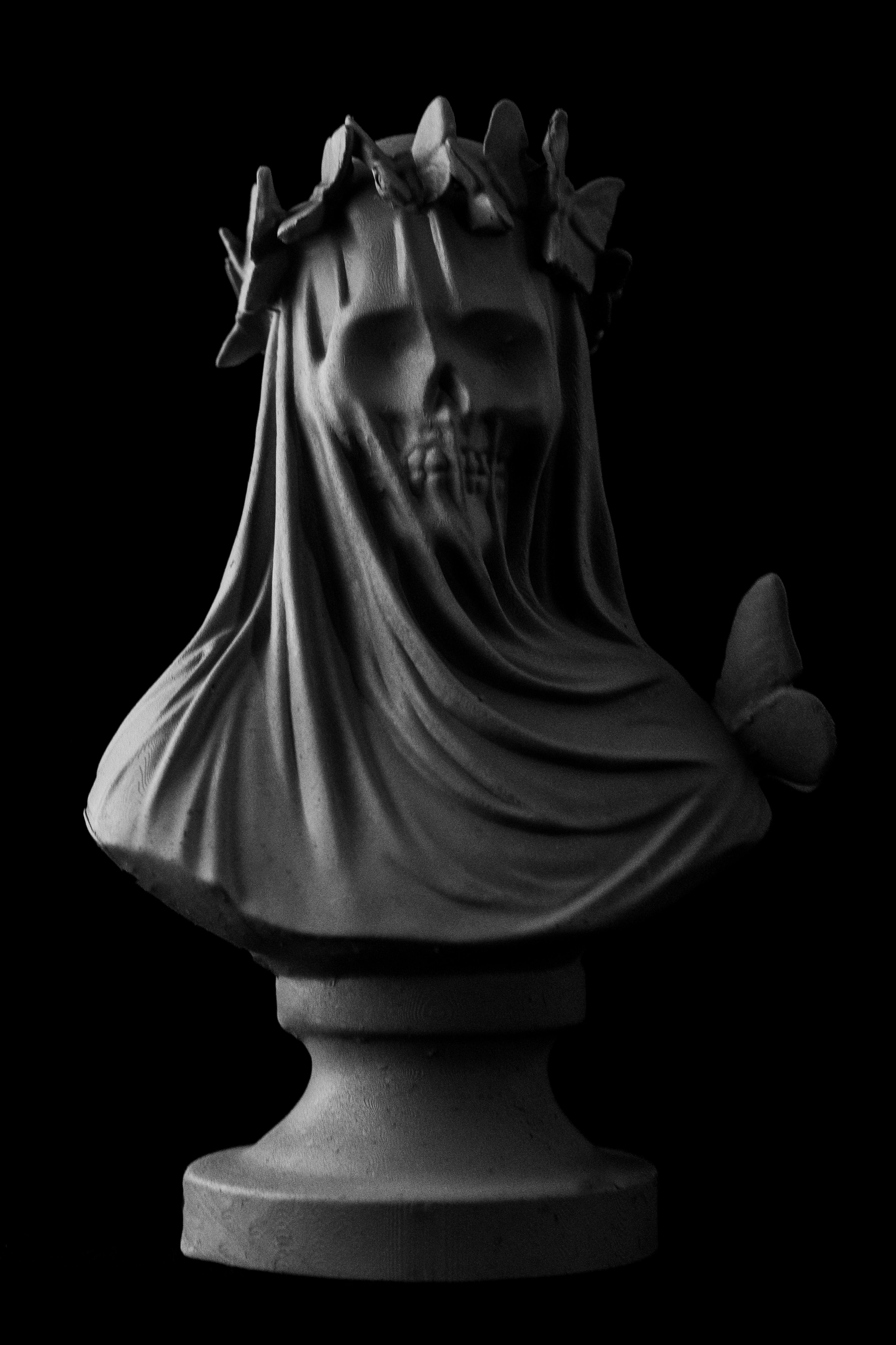 Flutterby Skull Bust (Pre Supported) 3d model