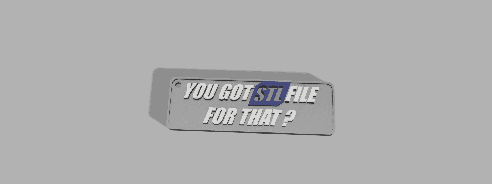 YOU GOT AN STL FOR THAT KEYCHAIN 3d model