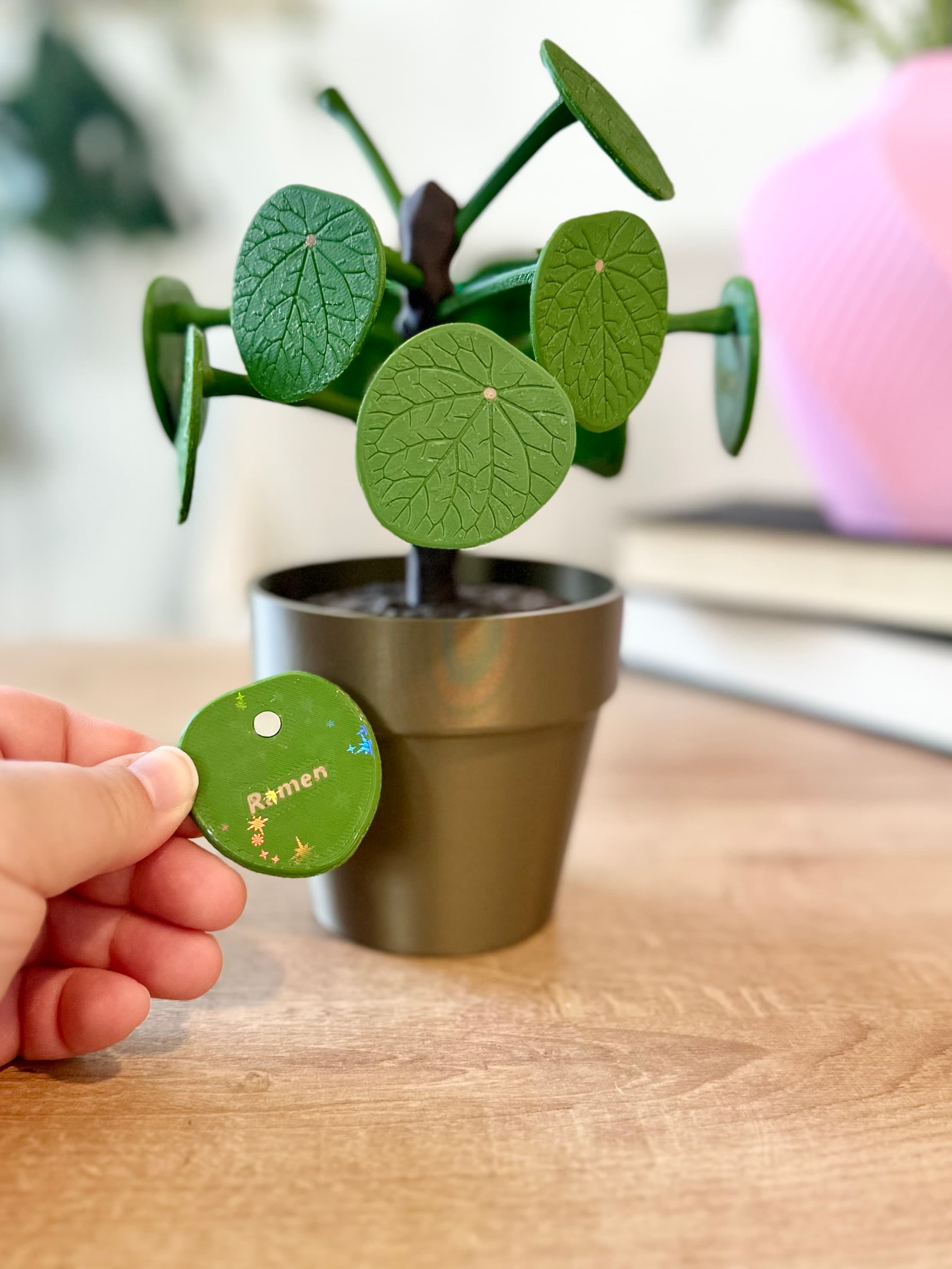 I used the holographic smooth plate for the leaves and love the effect it gives. All around a great model. What a fun way to use this pilea plant! I hope it stops all of the food fights in my family over deciding dinner.