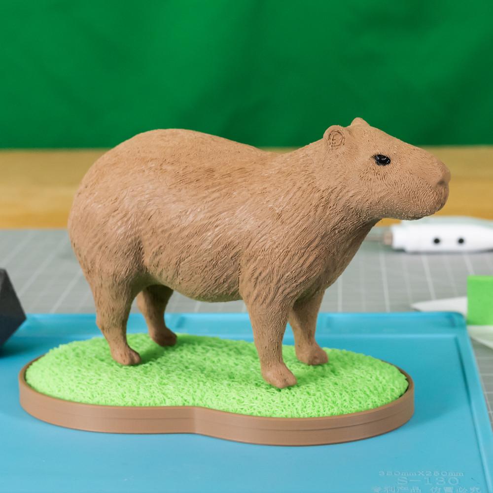 Split Capybara 3d model