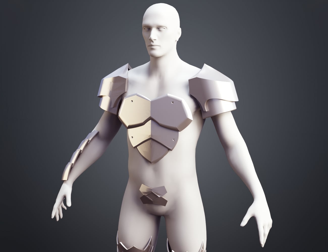 Armor - Goblin Slayer 3d model