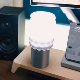Minimal Desk Lamp Corn トウモロコシ 3d model