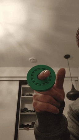 Ball Bearing Fidget 3d model
