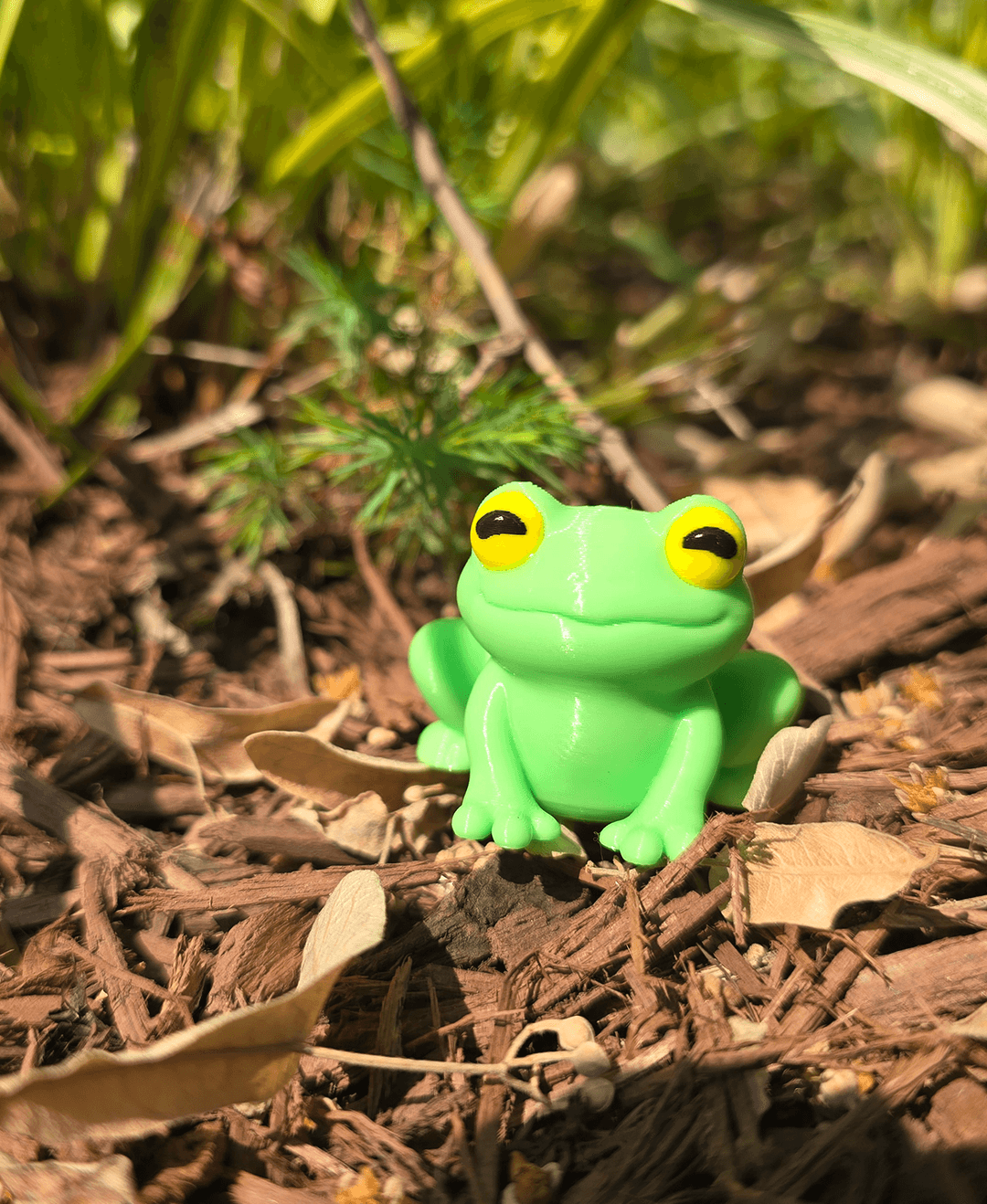 3DL Frogs 3d model