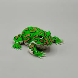 Articulated Pacman Frog | Pre-Painted + Optional 8mm Glass Eye Version 3d model