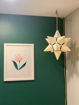 12 Point Star Lamp 3d model