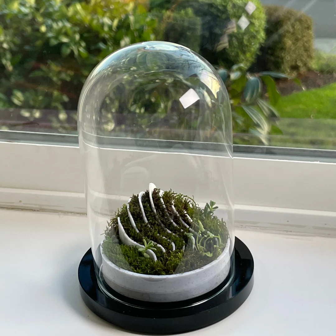 OASIS Terrarium 3d model