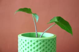 Butterfly Pattern - Planter 3d model