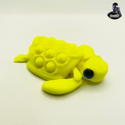 Cute Articulated Turtles #3 - Swappable & Customizable Shell - Print in Place - No Supports 3d model