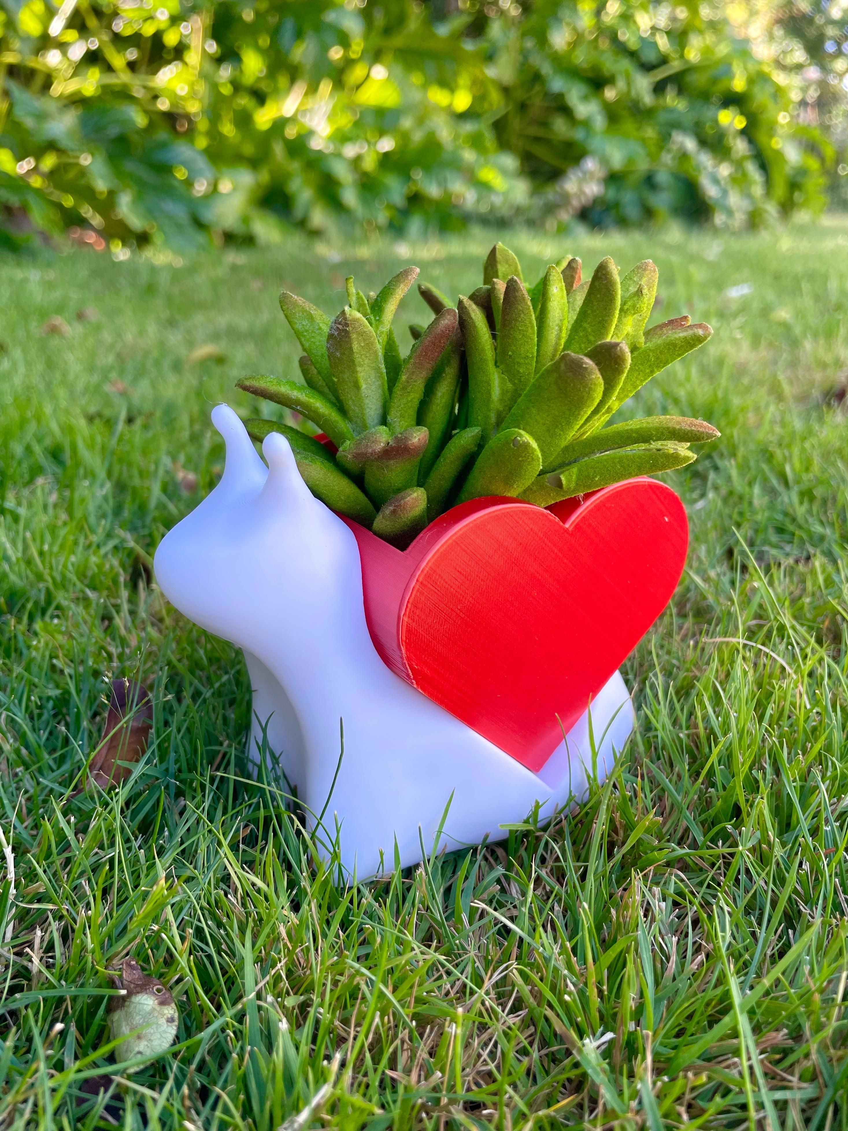 Snail With Heart Planter / Multiparts  3d model