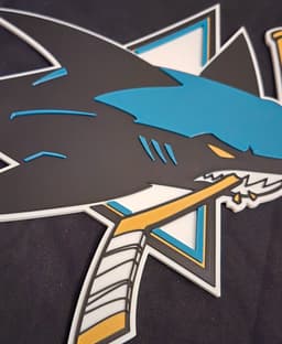 San Jose Sharks 3d model