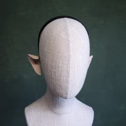 Elf Ears - Medium Length 3d model