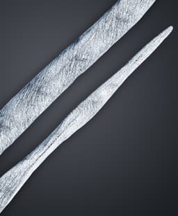 Soft Spiral Wand - Hogwarts Legacy 3d model