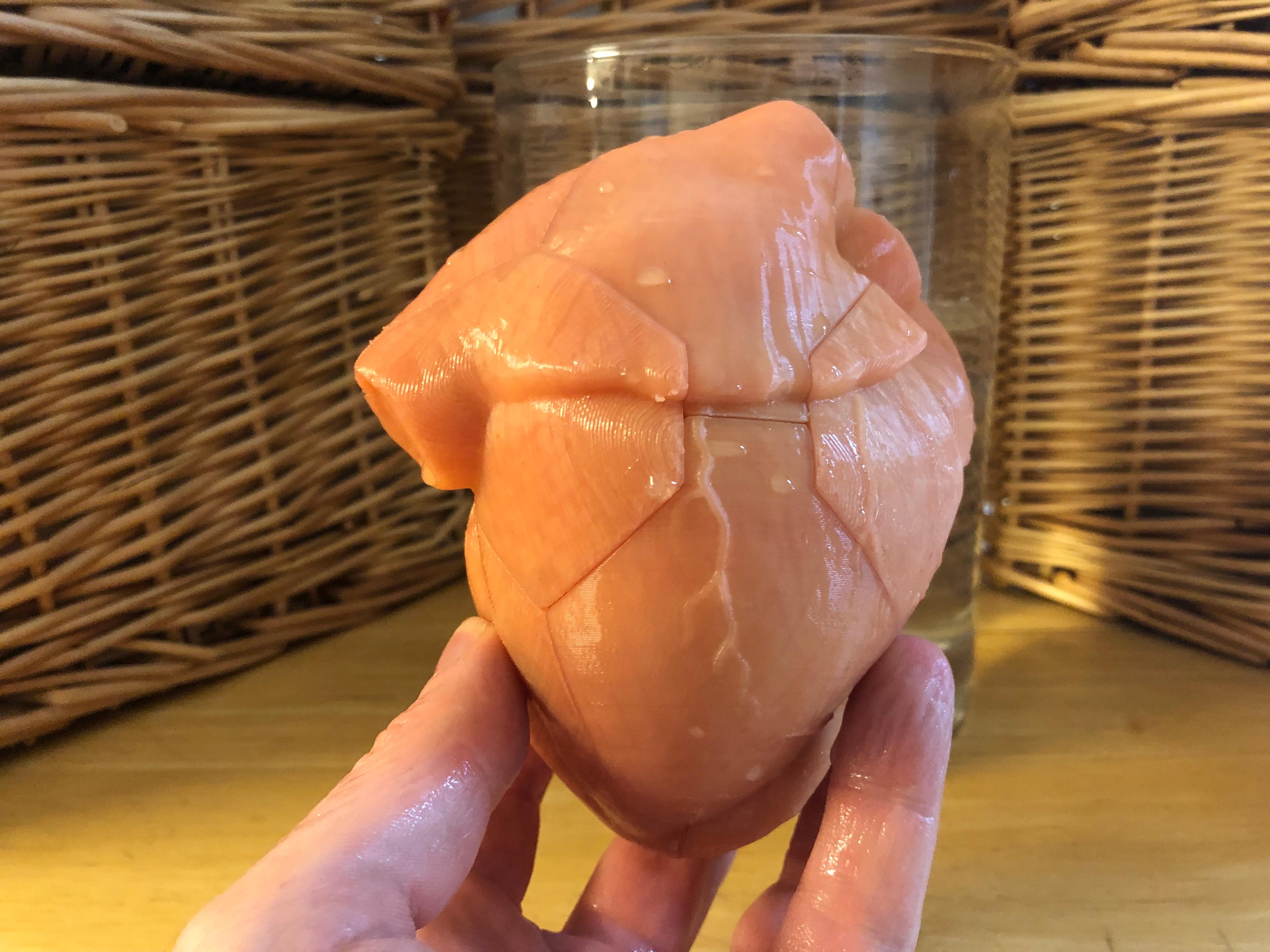 Anatomical Heart Puzzle 3d model
