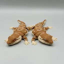 Articulated Bearded Dragons | Pre-Painted + Optional 8mm Glass Eye Version 3d model
